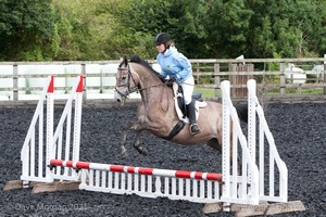 Class 1 - Fences 1'6 to 1'9